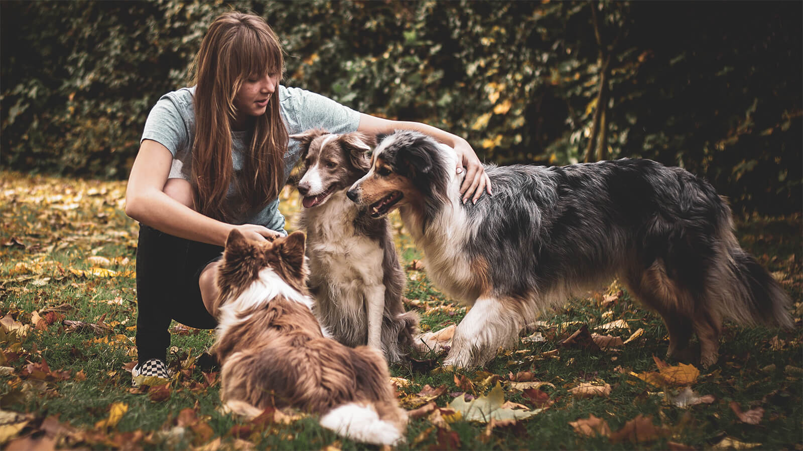 Professional Pet Care Services
